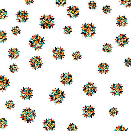 FLIGHT OF THE HUMMINGBIRD